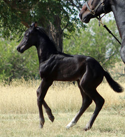 gemcoltcollect091722