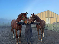 Poseidon and Full Brother Sequoia