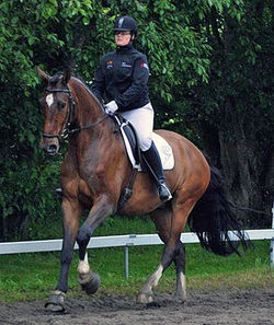 Westergaardens Mon Cheri