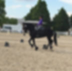 Willycanter