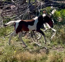 38