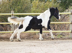 bennycanteraway11052025