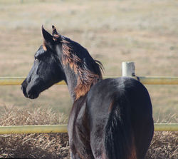 Xadenlookaway10242025