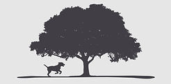Waterheath Dog Meadow Logo