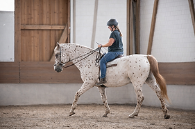 Reiterin auf Appaloosa im Reitstall.png