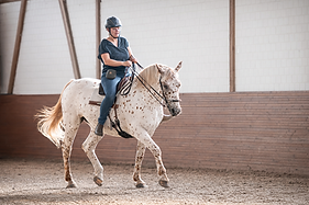 ChatGPT Image 26. Jan. 2026, 19_23_31.png