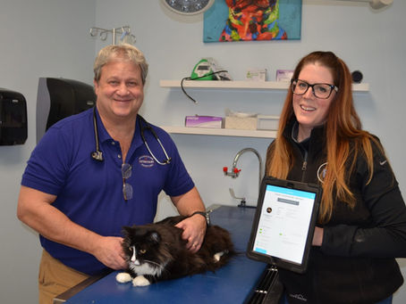 "Fur Baby" Pet Care Tracker App Scores Major State Grant