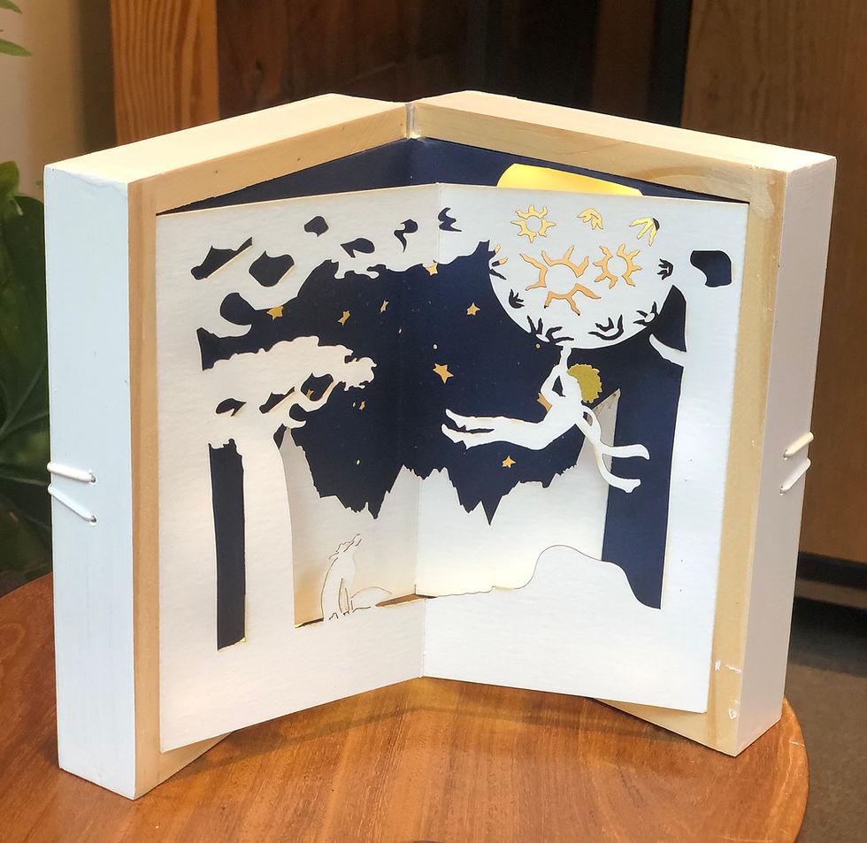 Miniatura: Librito con Luz