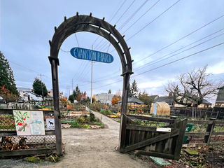 Evanston P-Patch Dusts Off Master Plan to Build Paths