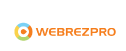 Partner Logo – Steinberg Consulting