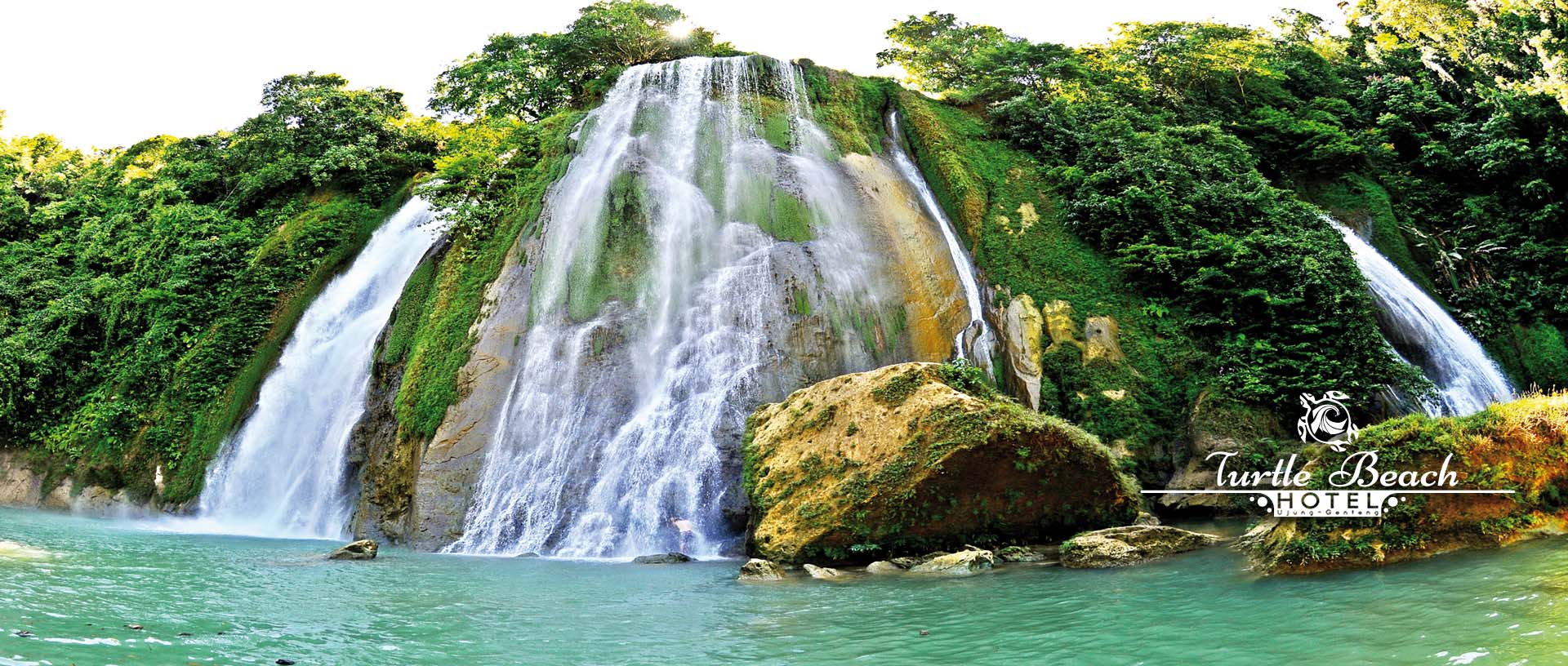 Hotel Turtle Beach Ujung Genteng Penginapan Murah