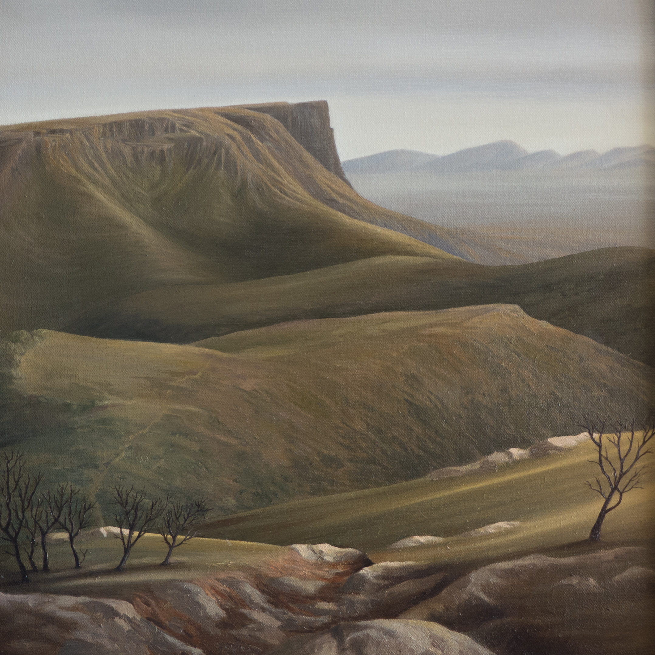 stirling ranges