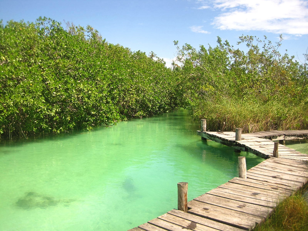 Laguna de Muyil