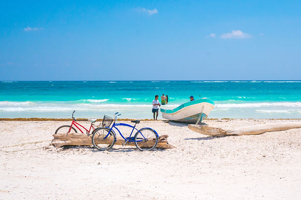 Playa del Caribe - Top Properties Riviera Maya - Contacto