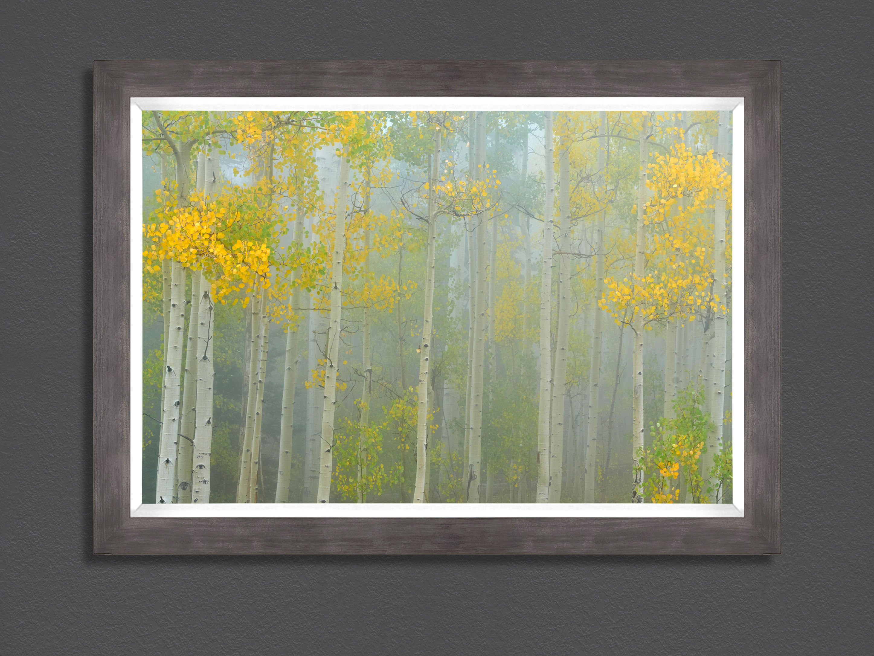 Aspen Mist 24x36 Framed Print