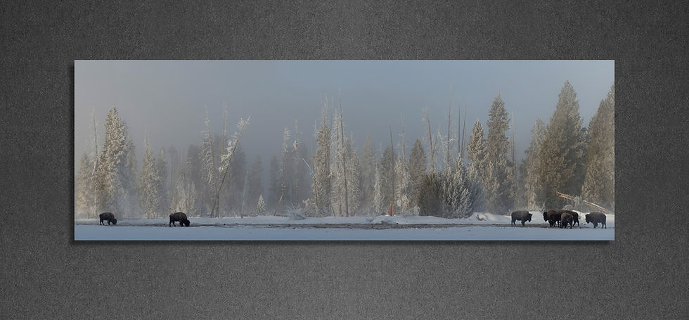 Thumbnail: Winter's Refuge