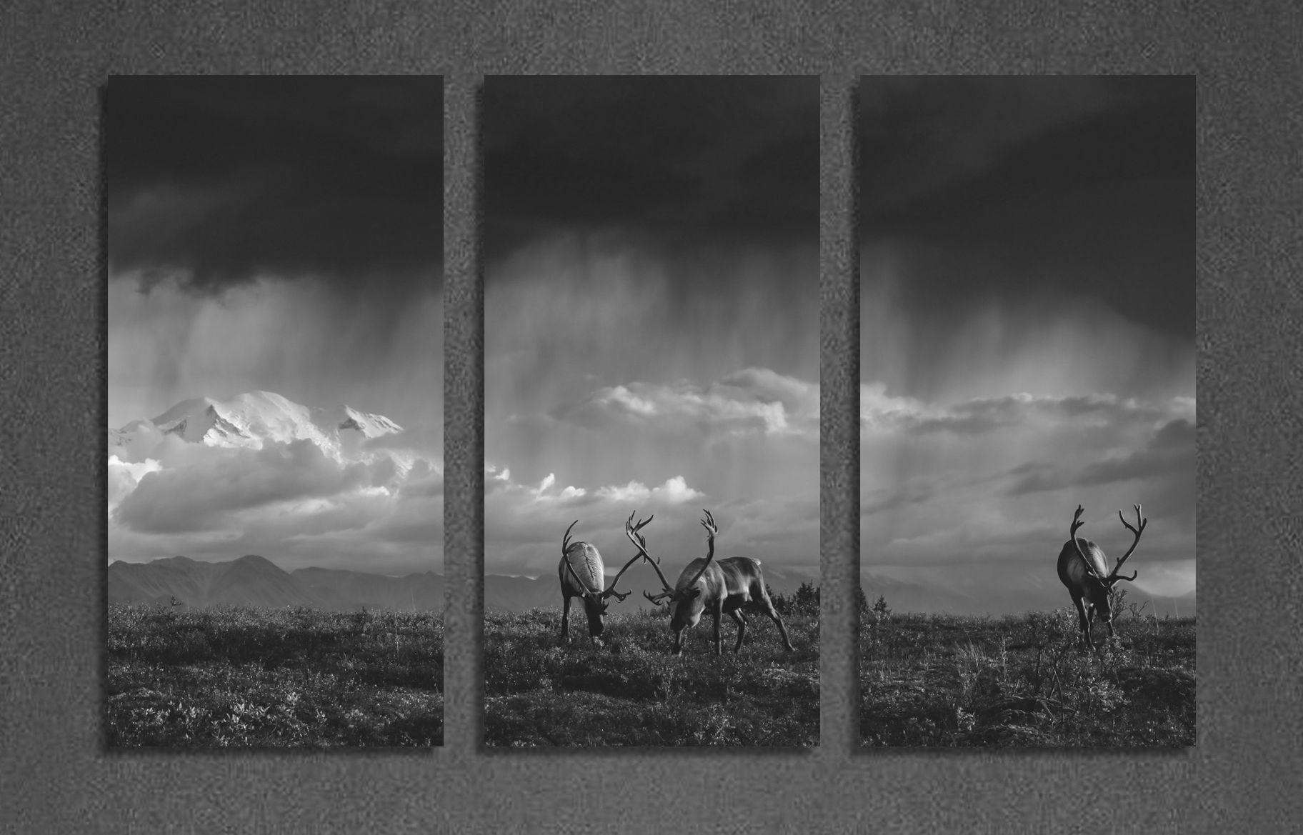Tundra Thunder B&W Triptych
