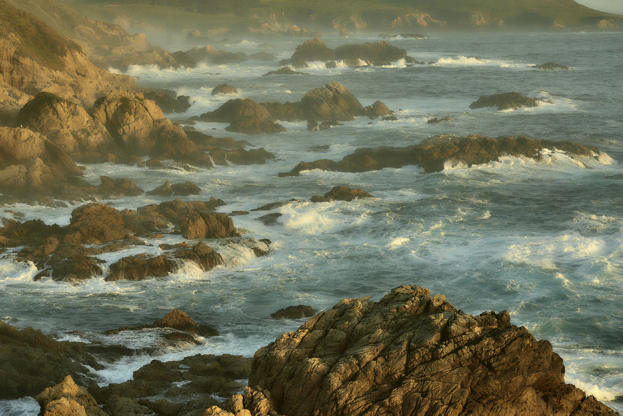Rocky Shores