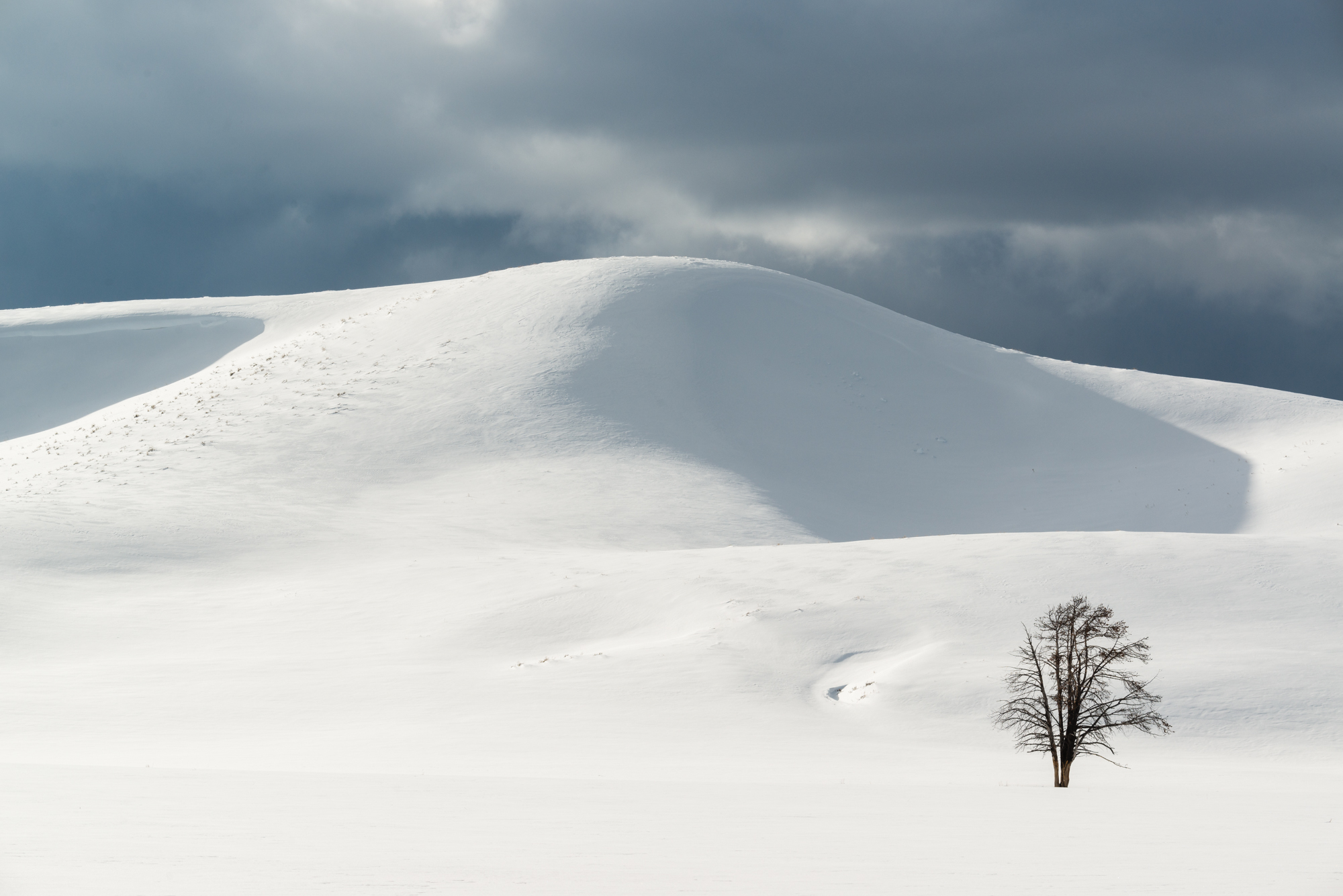 Winter Dunes