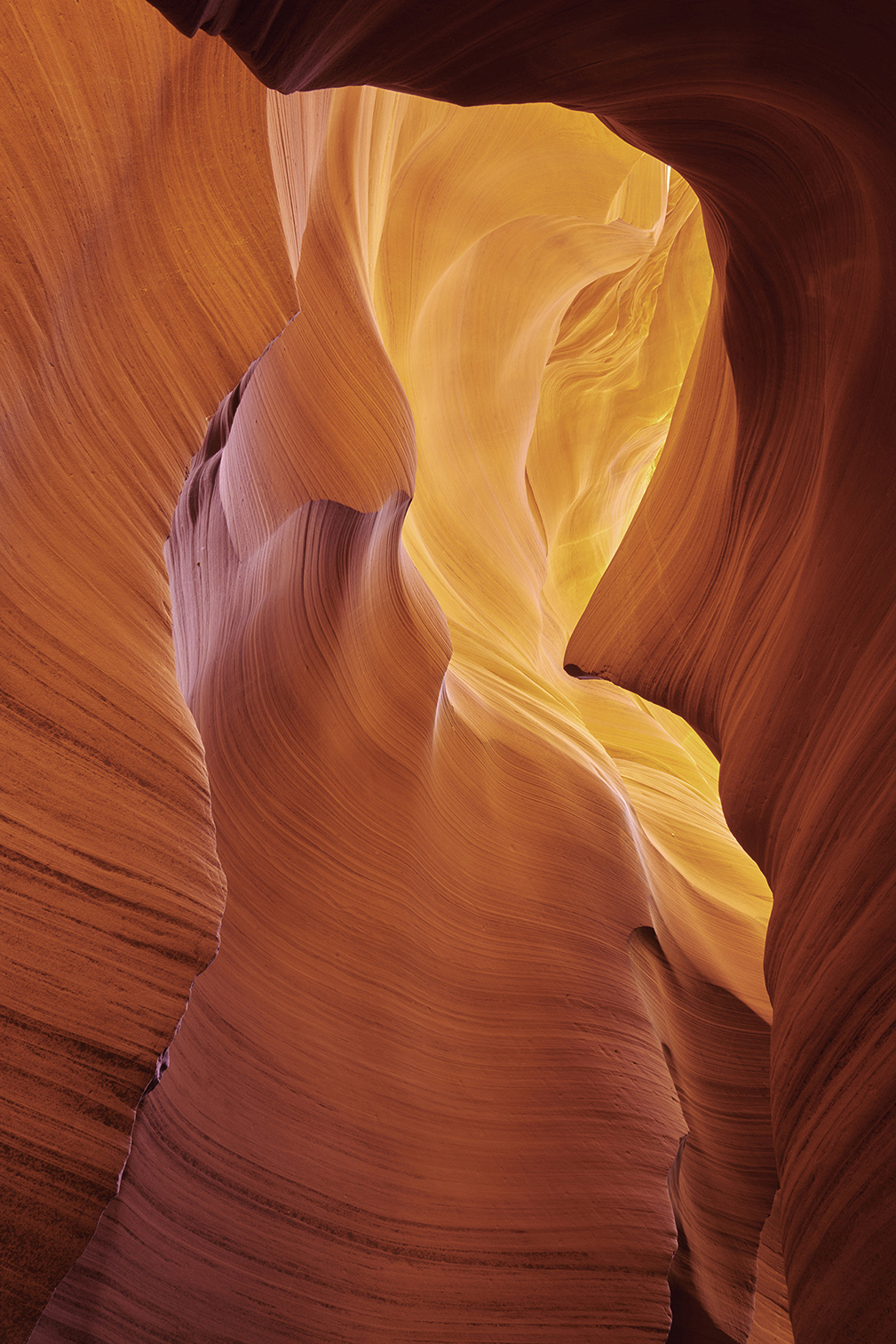 Canyon Light