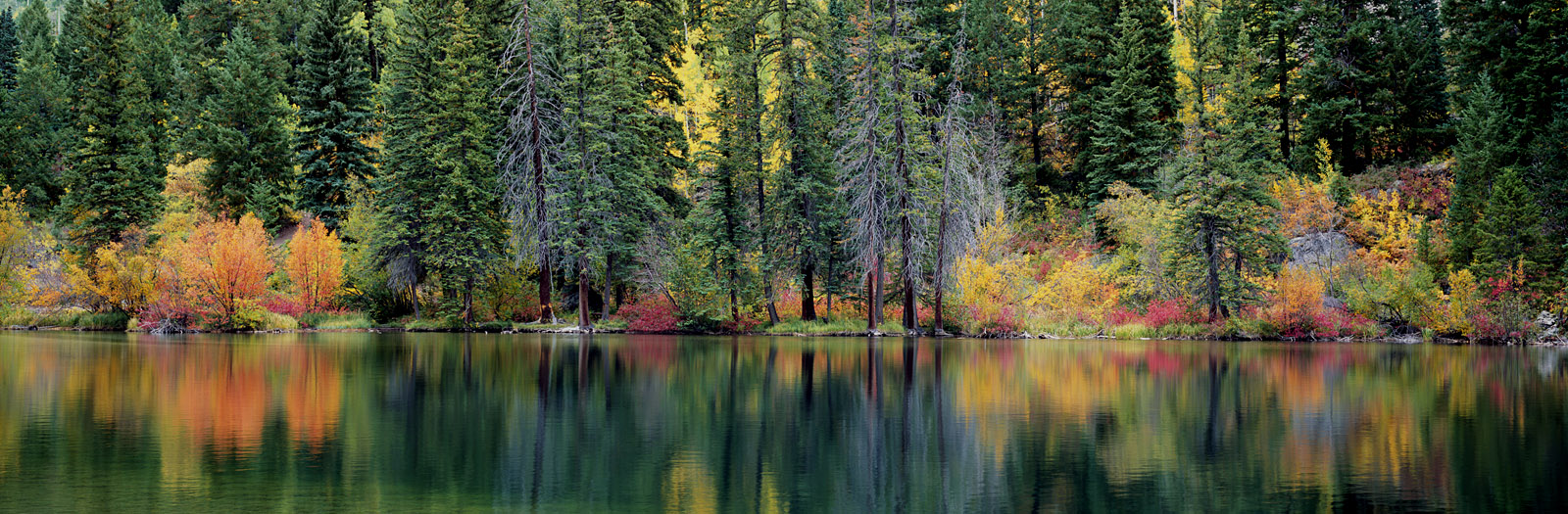 Autumn Impressions