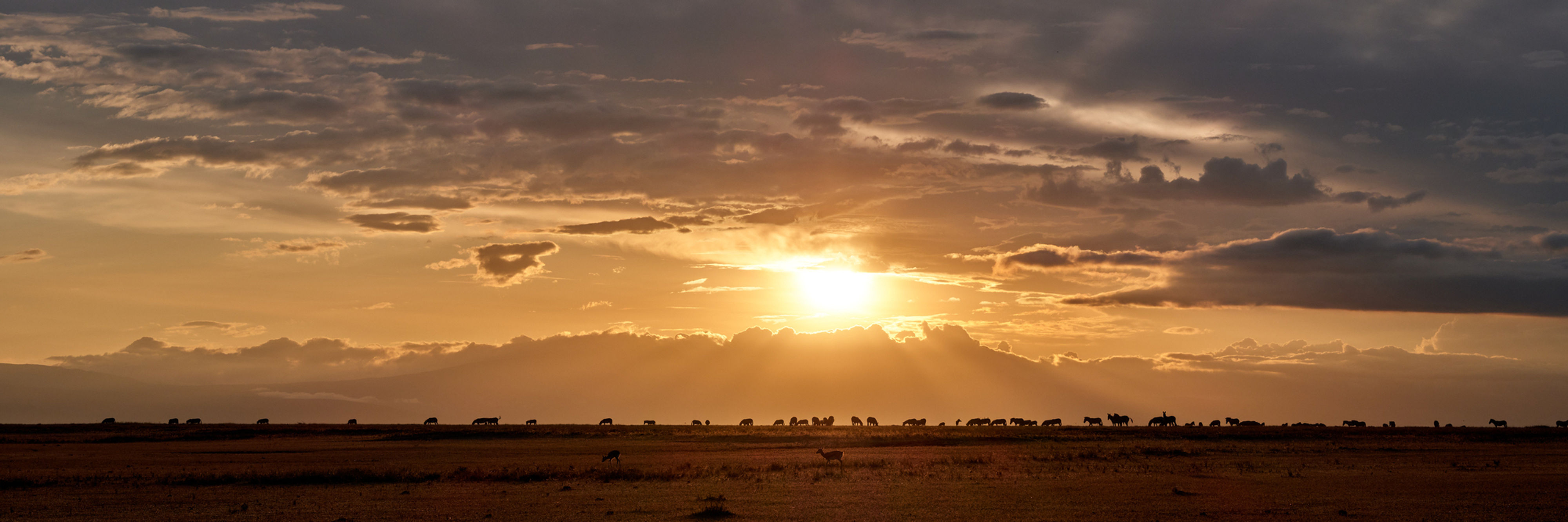 Sunrise on the Serengeti