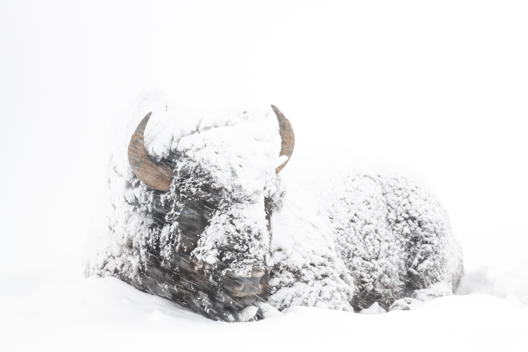 Wintertide