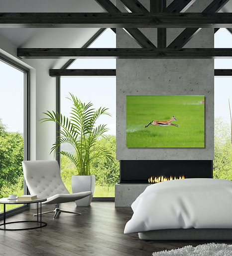 Bounding Tommy 40x60 FL Bedroom Cement Fireplace Huge Windows.jpg