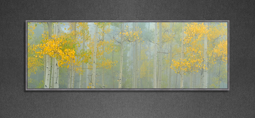 Thumbnail: Aspen Mist