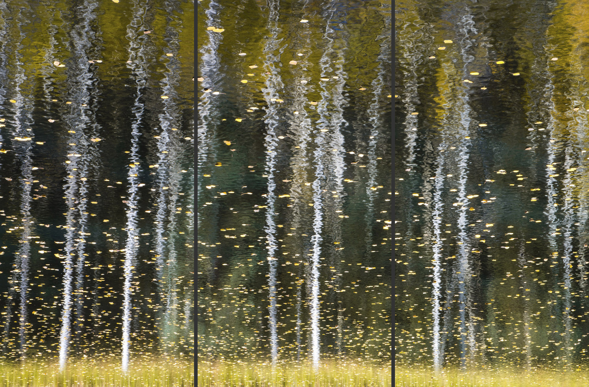 Aspen Magic Triptych (3 10x20,3 20x40,3