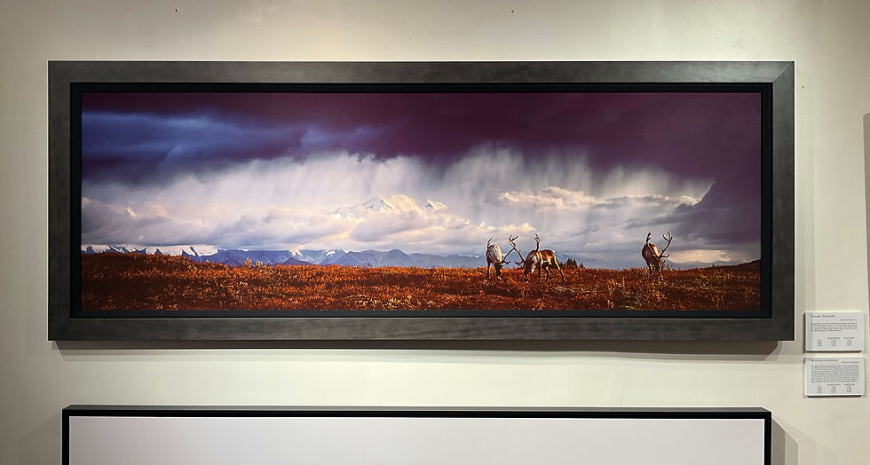 Thumbnail: Tundra Thunder 20x60 Framed Print