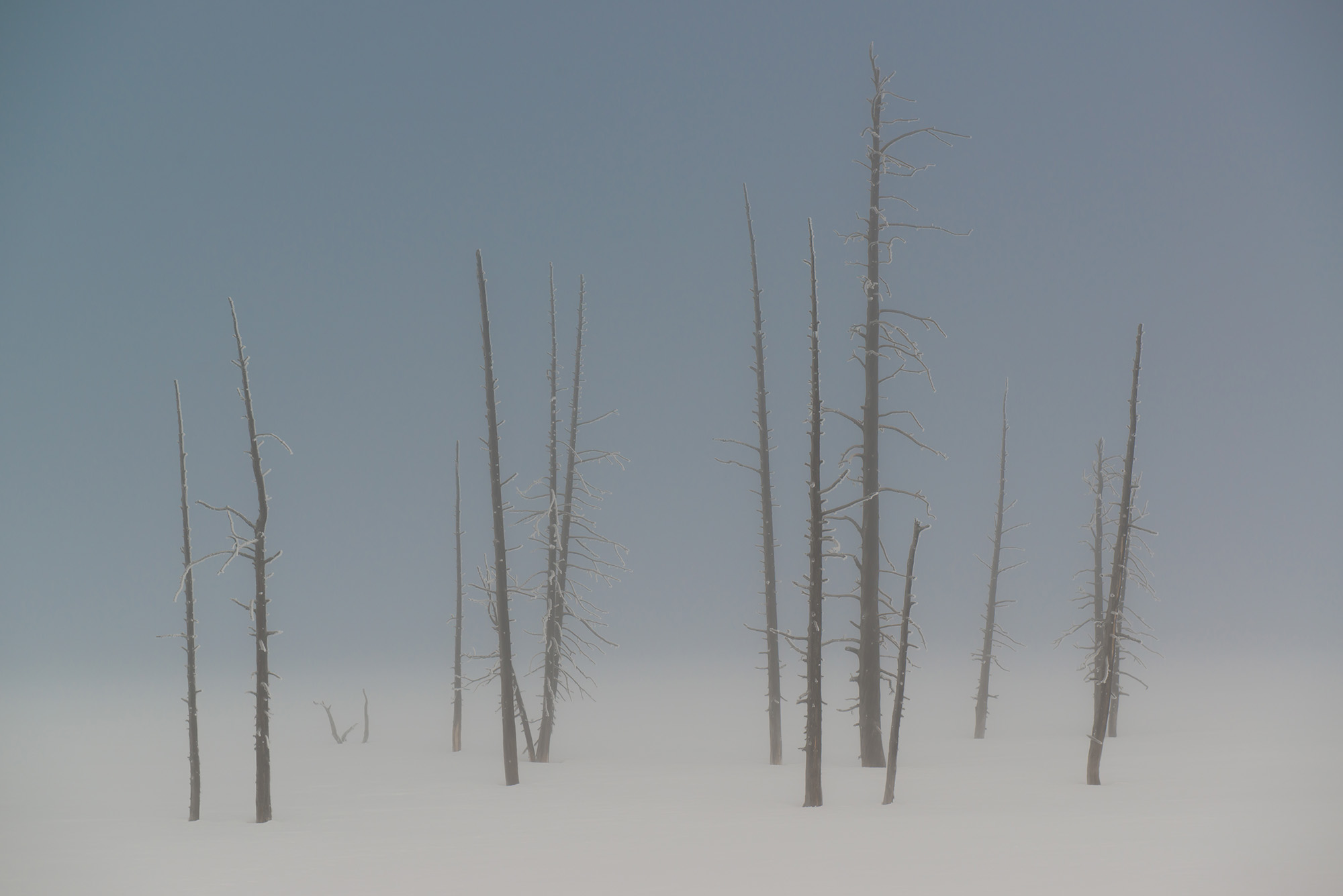 Solace