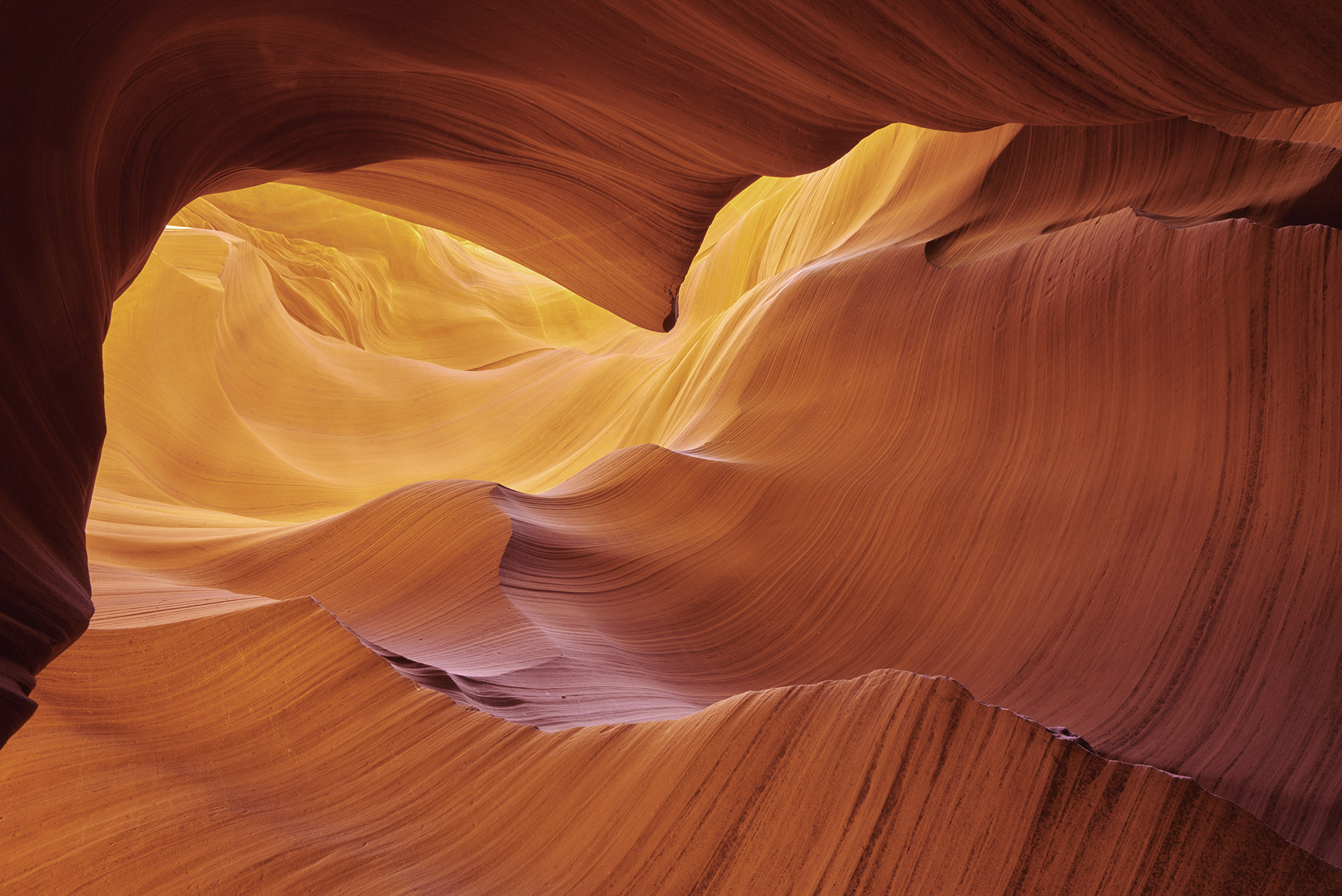 Canyon Light