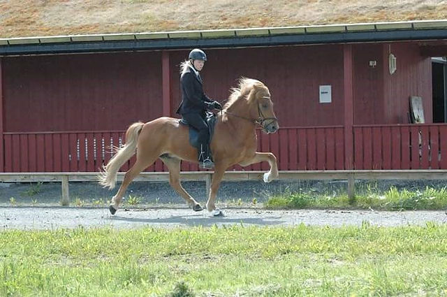pernille