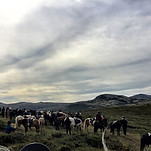 Gloi, fjellfestival 2018.jpg