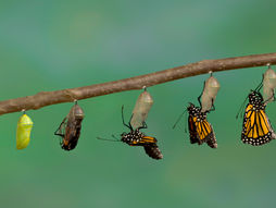 Managing change: quick guide to getting there