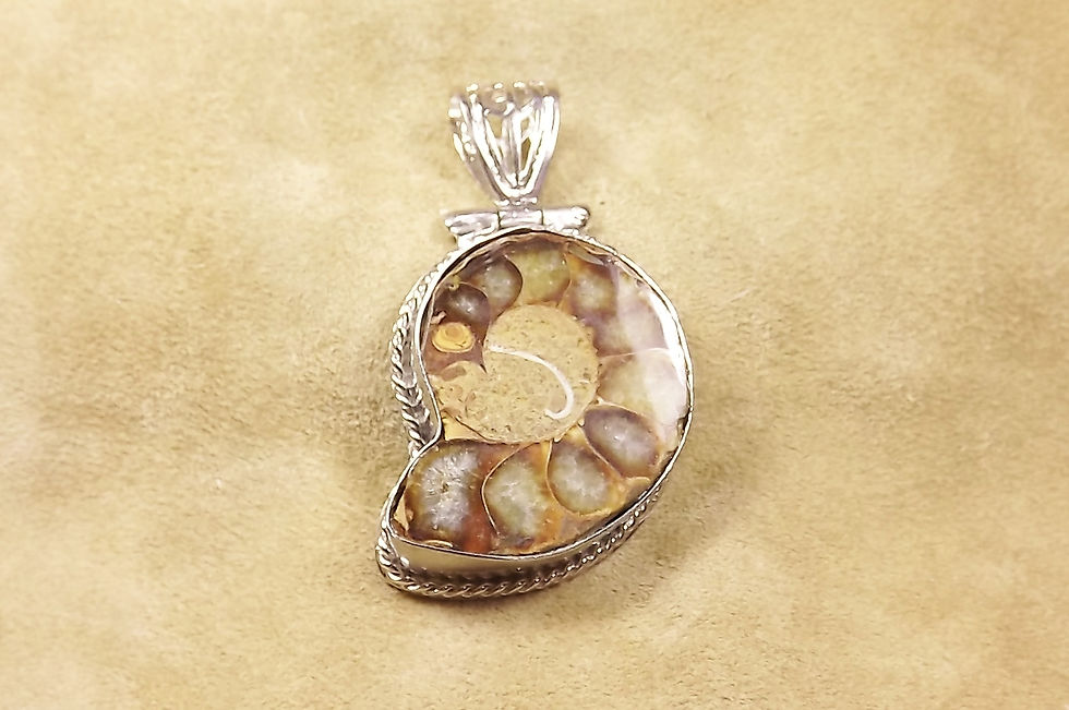 Thumbnail: Ammonite Fossil & Silver Pendant