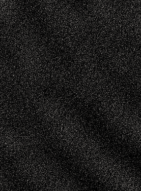 FOCF WEBSITE (2).png