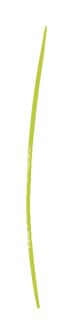 GREEN_DIVIDER_exact_transparent.png