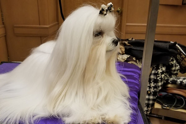 20190521_090137_edited.jpg
