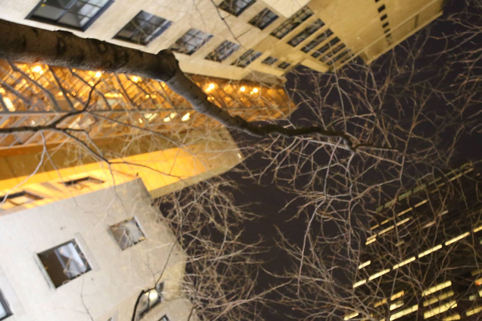 12362791_10153624346575081_8232030493136131456_o