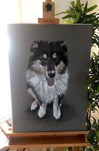 IMG_2639.jpeg