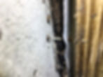 Sheathing Rot Behind Ledger Board