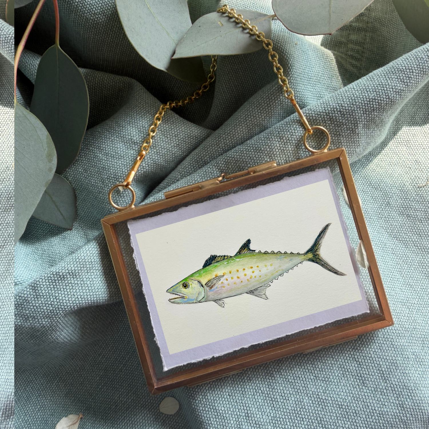 Spanish Mackerel
