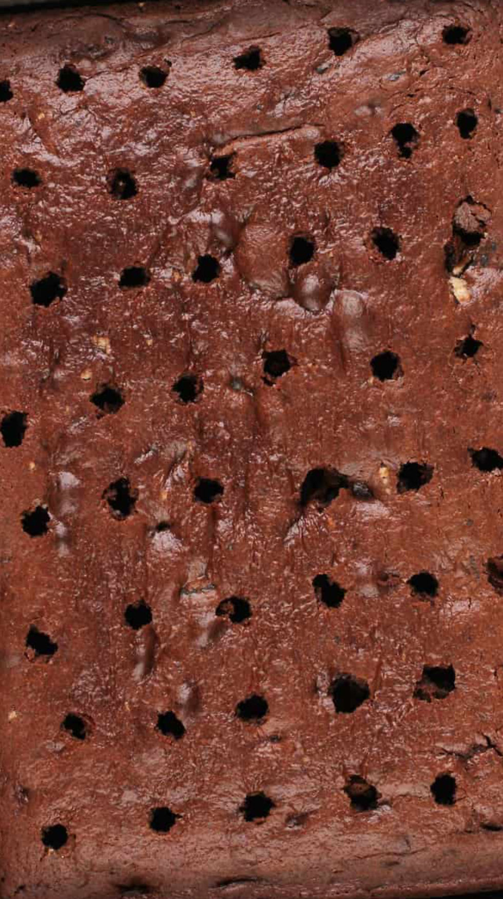 Thumbnail: Oreo poke cake 