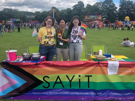 Owls in the Park 2019