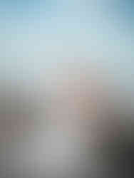 The happy bride and groom