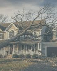 download (8)_edited.jpg