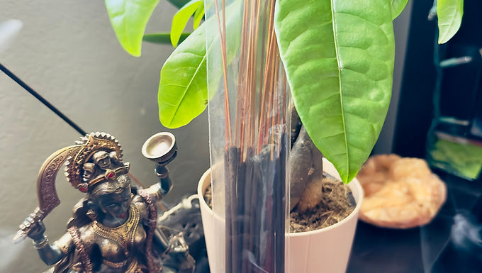 HIGH VIBE INCENSE STICKS