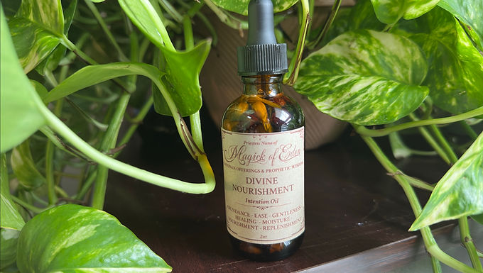 DIVINE NOURISHMENT INTENTION OIL